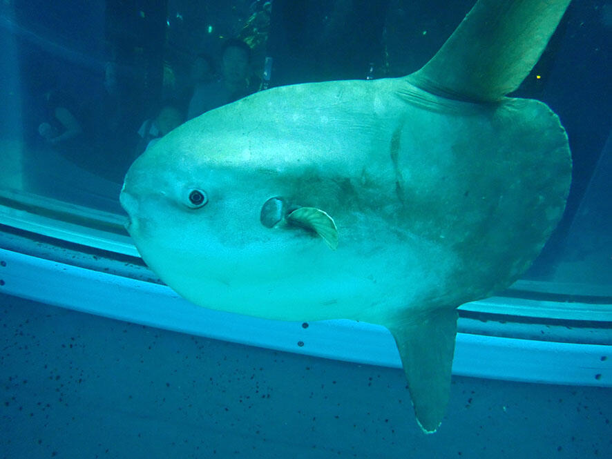 2504_manbo_02.jpg