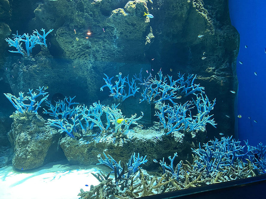 2505_gbr_01.jpg