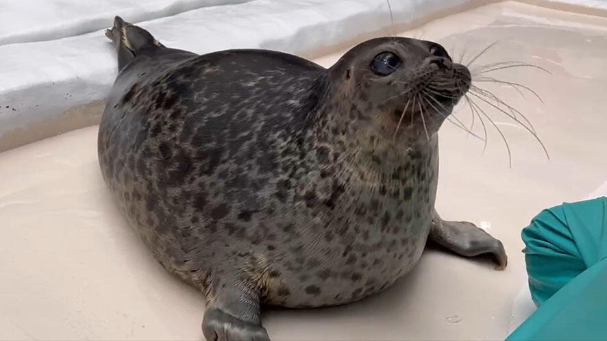 飼育員が聞いている音 | 海遊館の舞台ウラ | 生きものを知る | 海遊館
