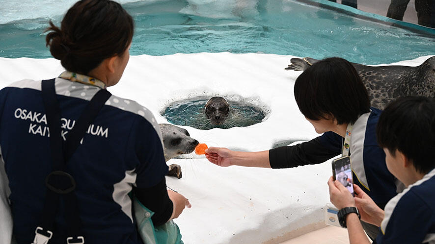 Happy Halloween | 海遊館の舞台ウラ | 生きものを知る | 海遊館