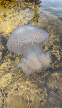 2605_hizen.jpg