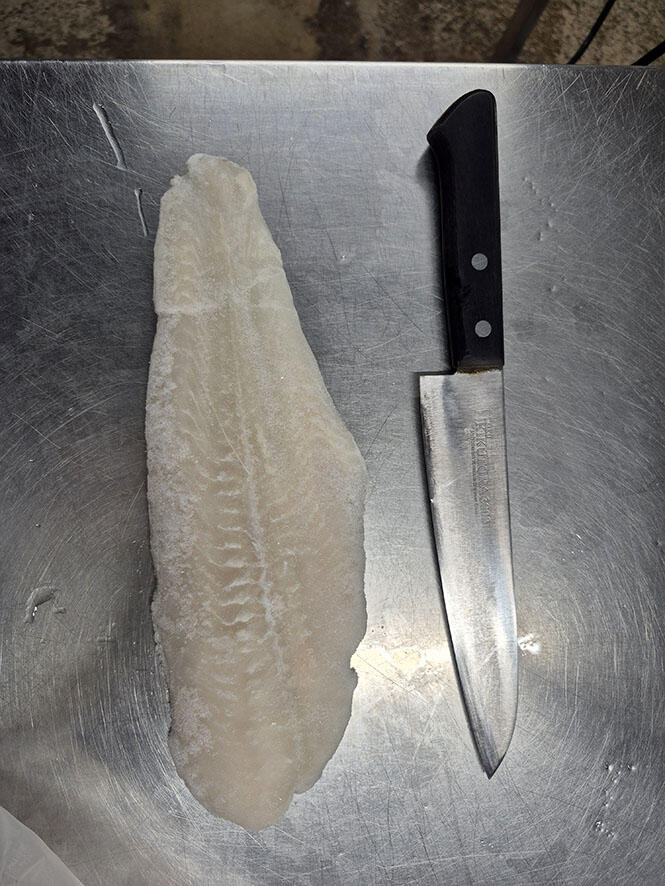 白身魚、そのお味は？ | 海遊館の舞台ウラ | 生きものを知る | 海遊館