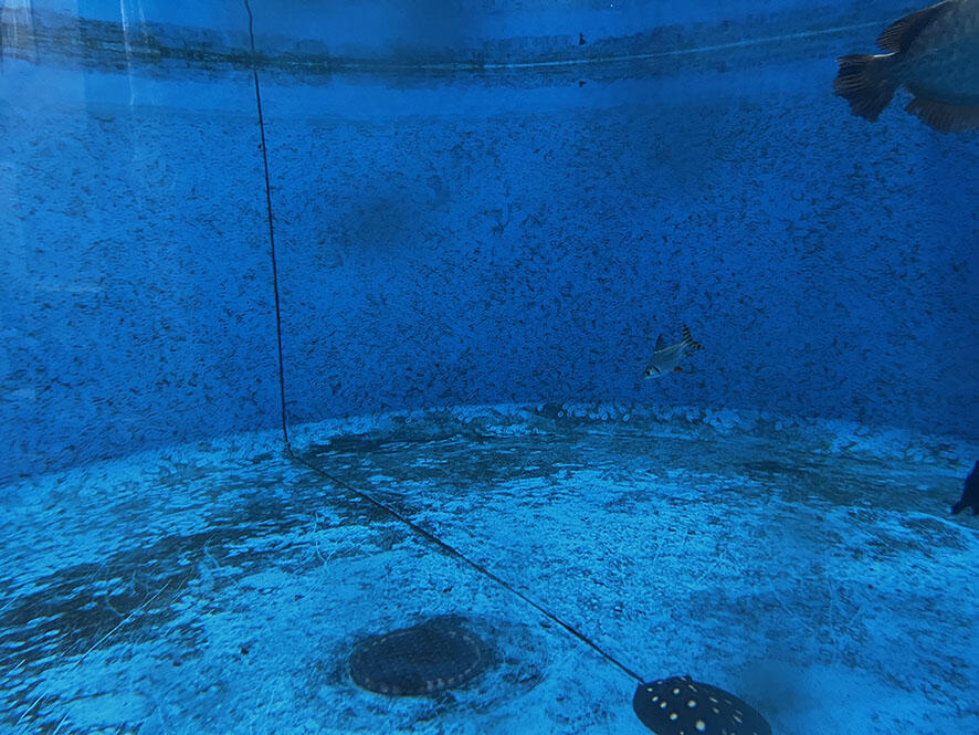 2608_cleaning_03.jpg