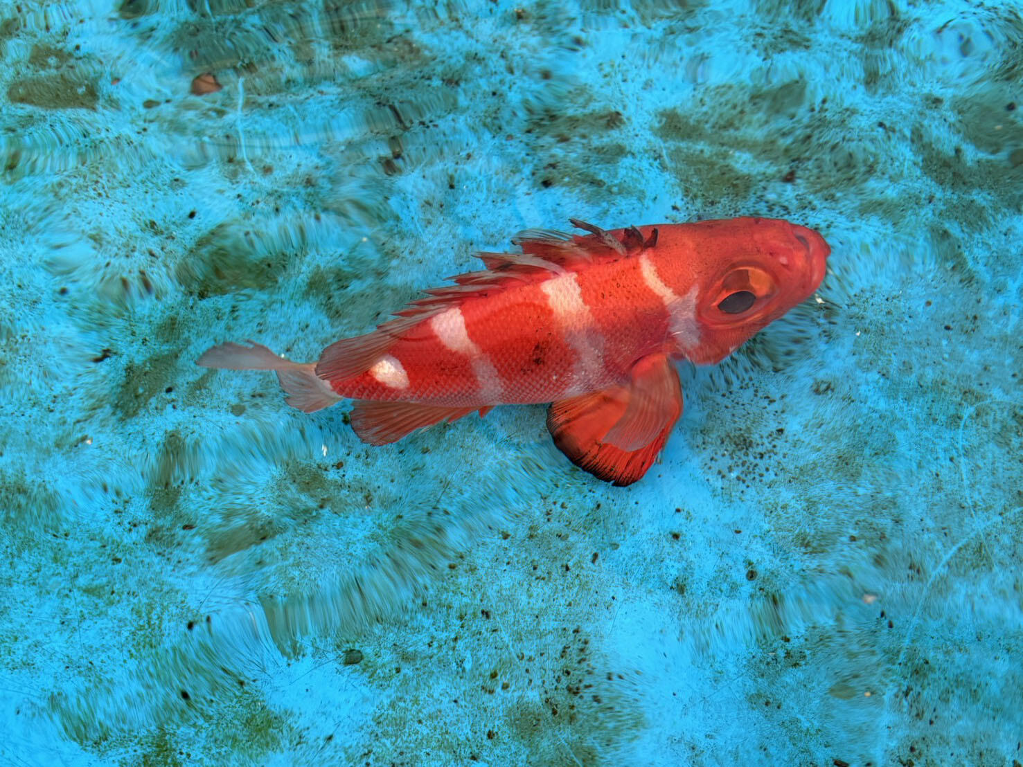 2608_iburi114_02.jpg