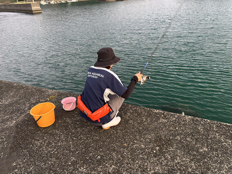 2608_iburi116_03.jpg
