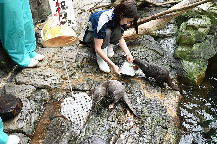 2609_bunashii_03.jpg