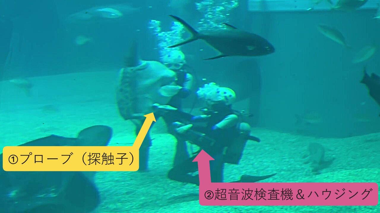 写真① - コピー.jpg