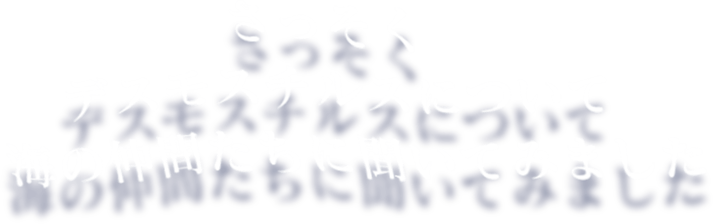 さっそくデスモスチルスについて海の仲間たちに聞いてみました