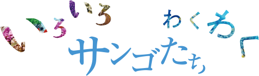 いろいろ　わくわく　サンゴたち