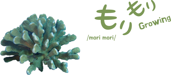 ハナヤサイサンゴ