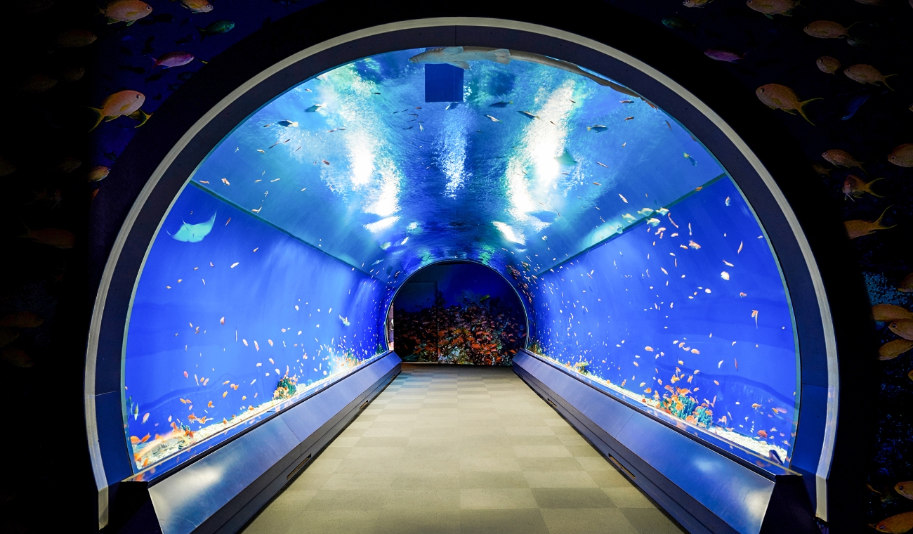 14の展示水槽で10の地域を再現