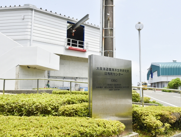 大阪海遊館 海洋生物研究所以布利センター