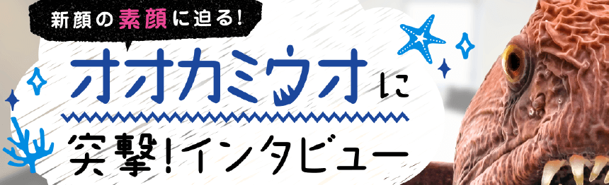 オオカミウオに突撃インタビュー