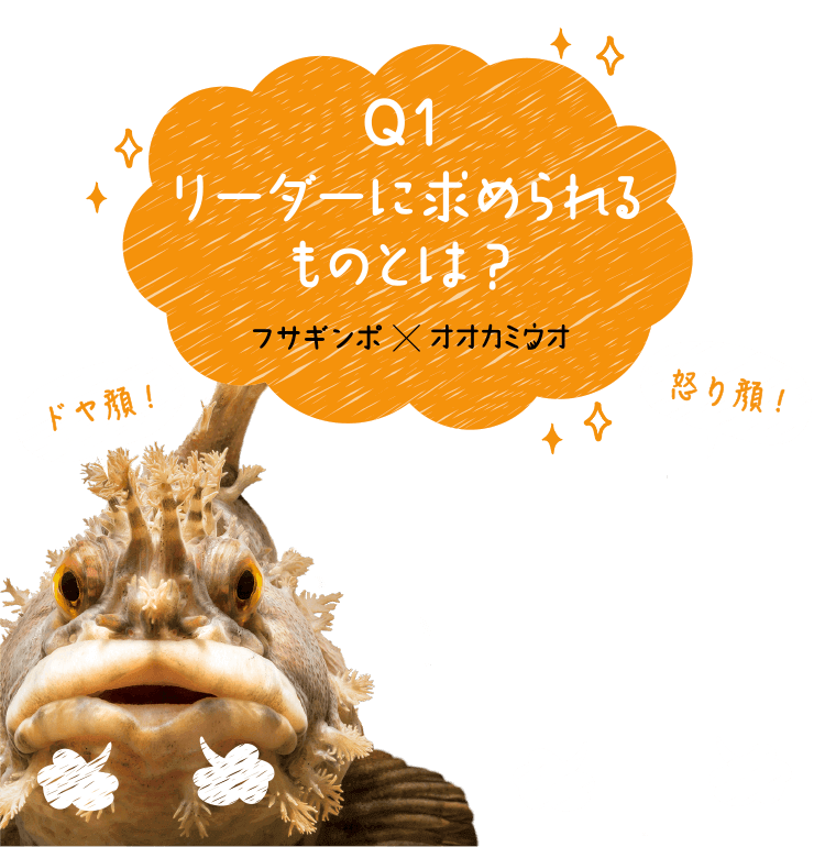 リーダーに求められるものとは？ フサギンポ×オオカミウオ