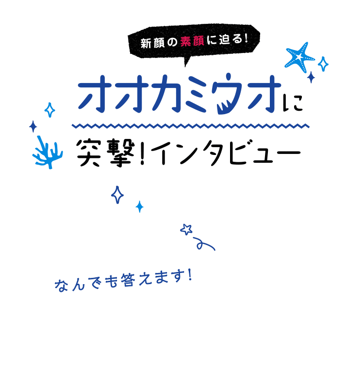 新顔の素顔に迫る オオカミウオに突撃インタビュー