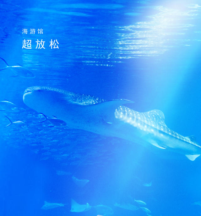 88+ 图片 海 新的 34 Osaka Aquarium KAIYUKAN