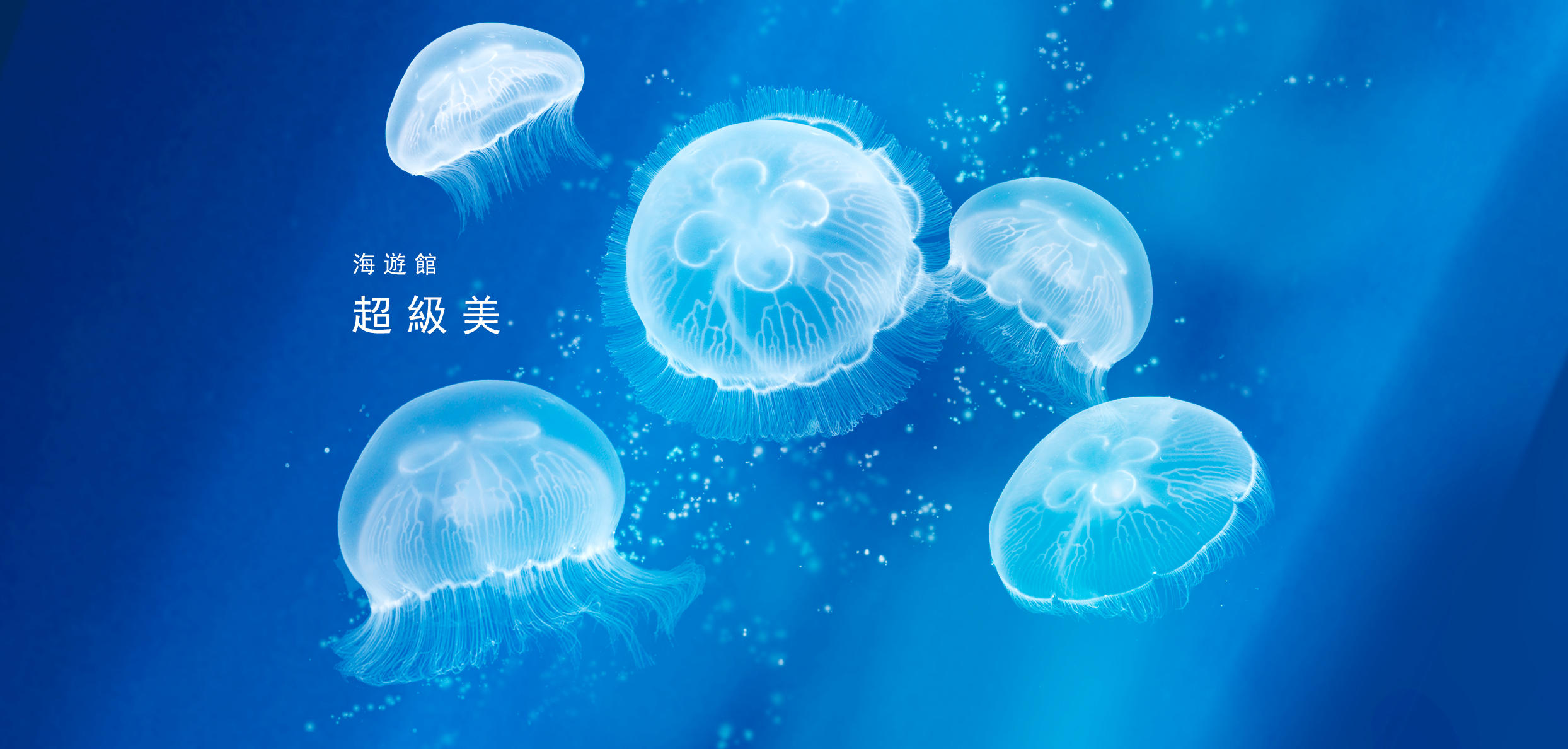 Osaka Aquarium Kaiyukan