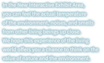 In the New Interactive Exhibit Area, you can feel the actual temperature of the environment, noises, and smells from other living beings up close. We hope this experience of the living world offers you a chance to think on the value of nature and the environment.