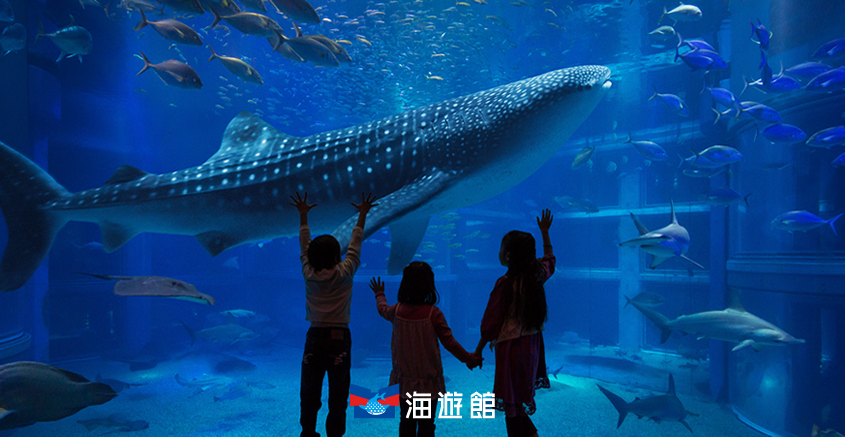 About KAIYUKAN | Osaka Aquarium KAIYUKAN