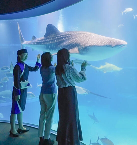 世界最大級の水族館 海遊館