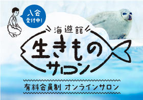 海遊館 入館券 大人2枚&オリジナルグッズ2個 2020年3月31日まで利用可能