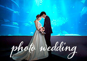 世界最大級の水族館 海遊館