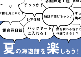 車 駐車場 時間 料金 アクセス 海遊館 車 駐車場 時間 料金 アクセス 海遊館