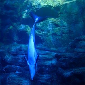 2405spot_img_02.jpg