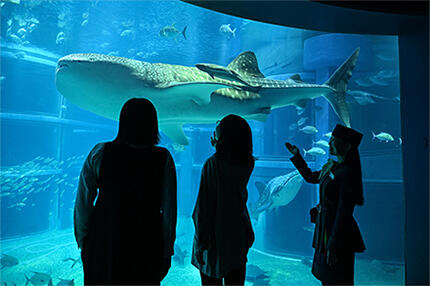 250331_guide_tour05.jpg
