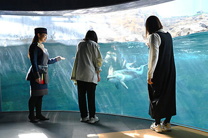 250331_guide_tour06.jpg