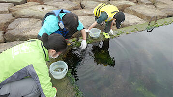 飼育員と一緒に磯観察！「大阪湾の海辺の観察会 in せんなん里海公園」