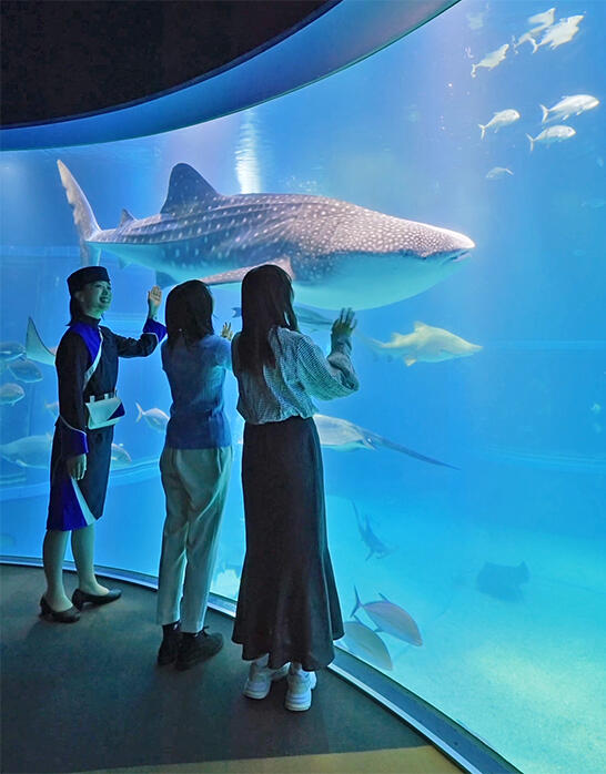 世界最大級の水族館 海遊館