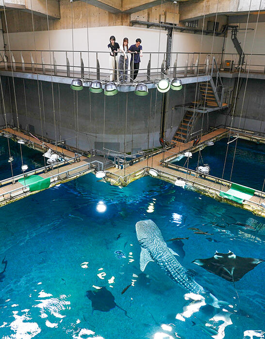 世界最大級の水族館 海遊館