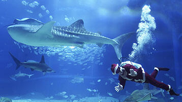 santaimage_25.jpg