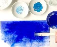 海遊館ミュージアム フルコンプ リーフレット付 海遊館ミュージアム フルコンプ リーフレット付 2024年 | プレス