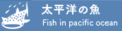 太平洋の魚