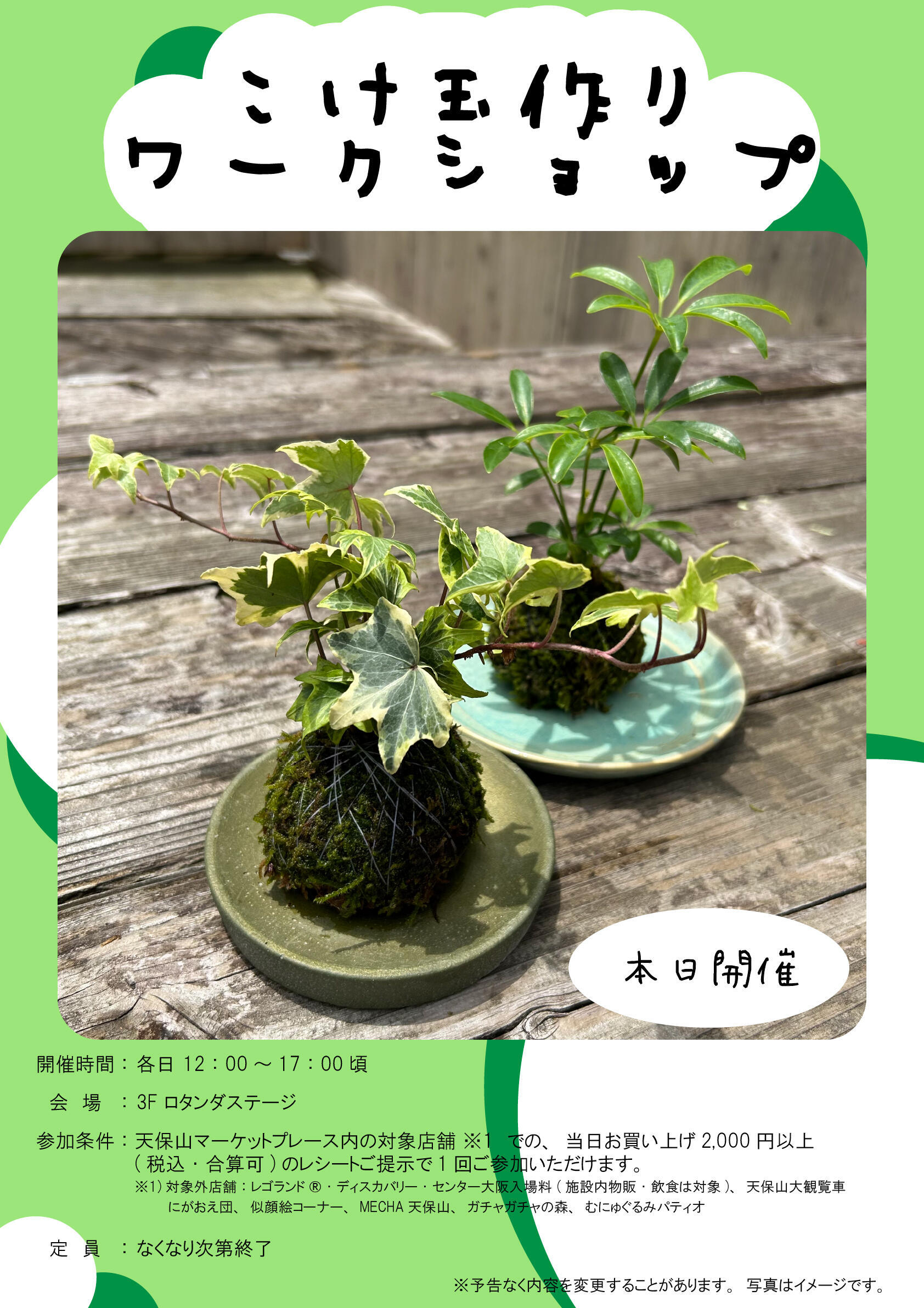 20241005_苔玉A1ポスター.jpg