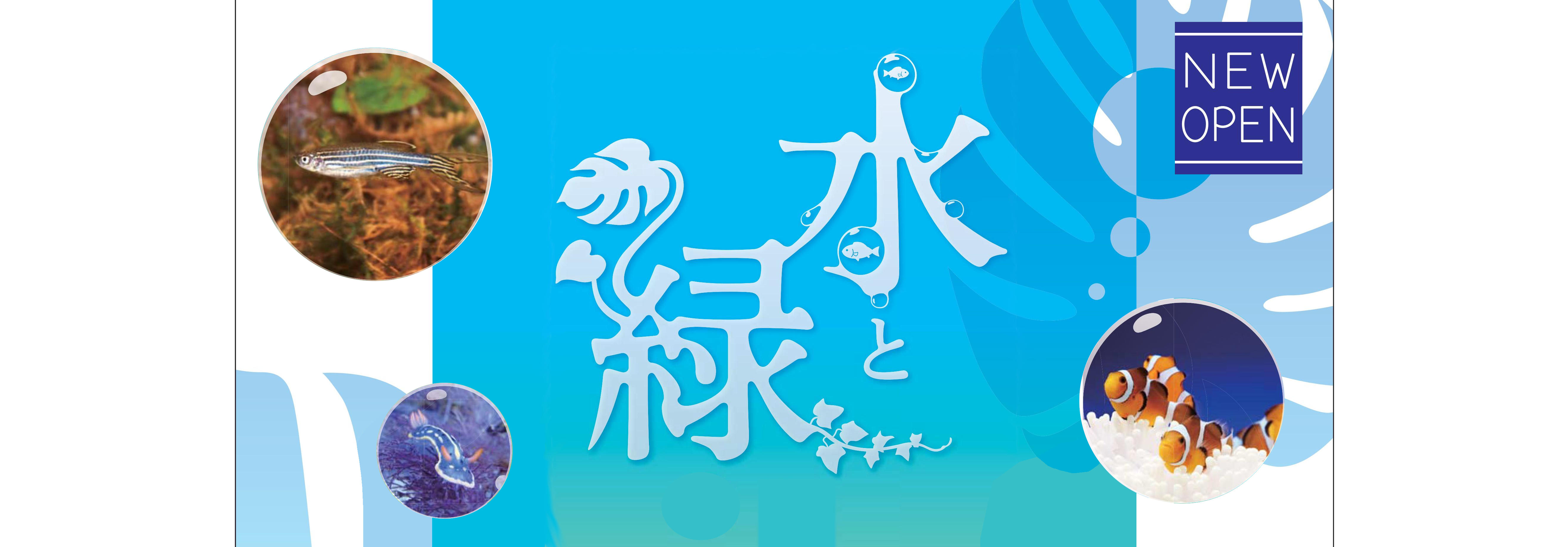 天保山マーケットプレース