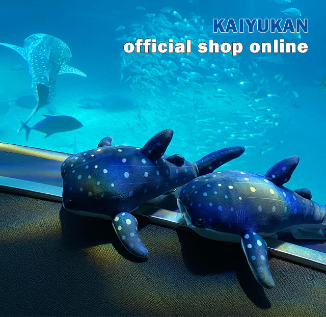 世界最大級の水族館 海遊館 世界最大級の水族館 海遊館